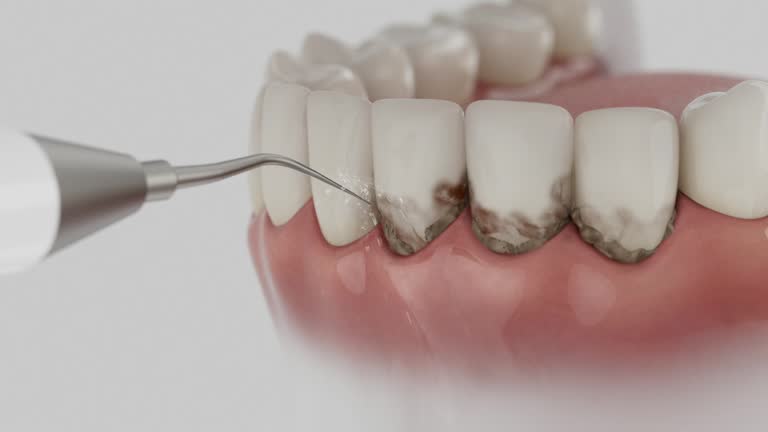 Reliable Dental contractor in Plum Grove, TX by Dentist Open Now